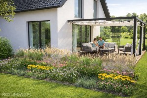 Gotowy projekt ogrodu (rabata) - "Rabata trawiasta". Zestaw (Projekt + 82 sadzonki)